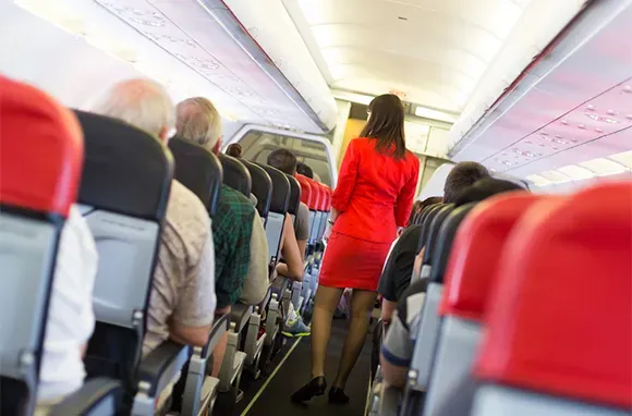 flight attendant